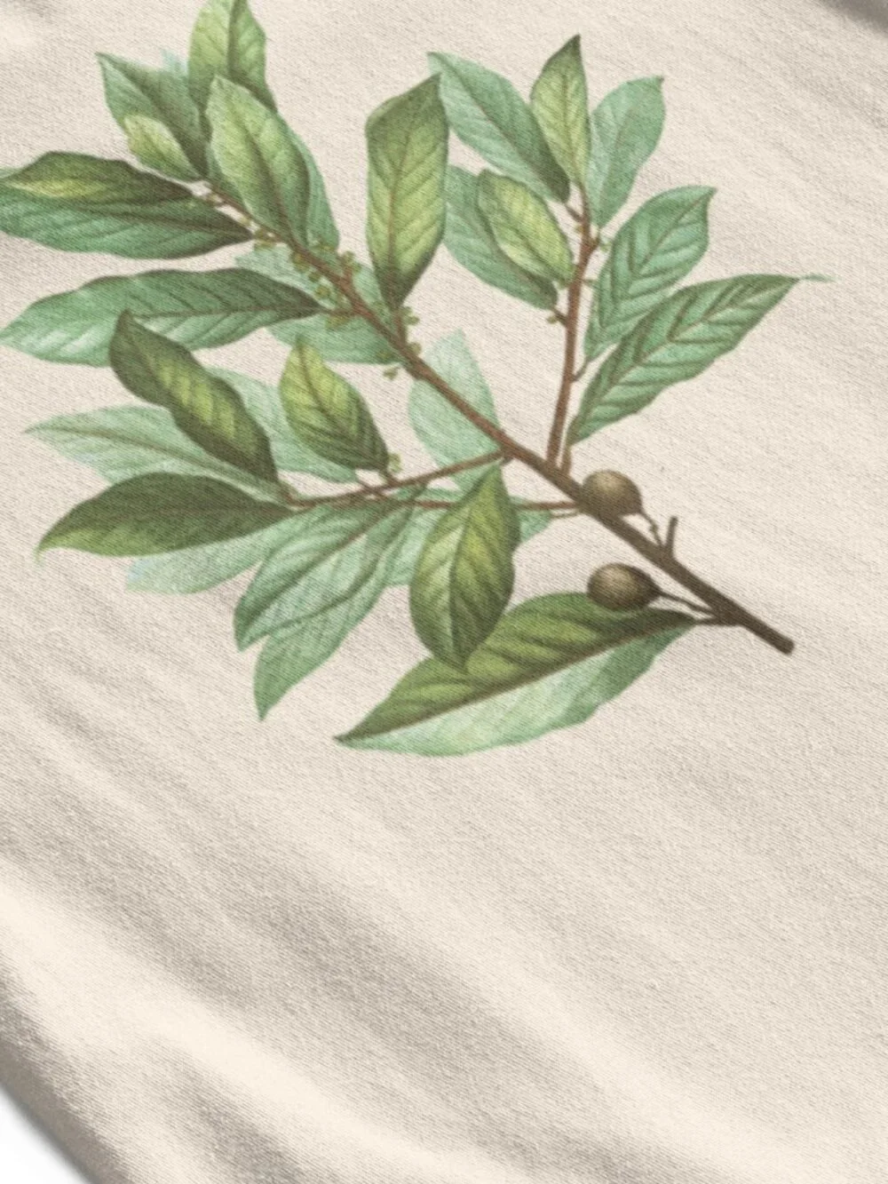 Bay Laurel Vintage Botanical Print Short Sleeve Graphic Tee T-shirt S-XXL